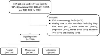 Association between dietary copper, iron, zinc, selenium intake and osteopenia or osteoporosis in elderly hypertensive patients: a retrospective cohort study